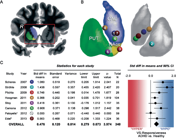 During adolescence impulsivity declines and analytic thinking