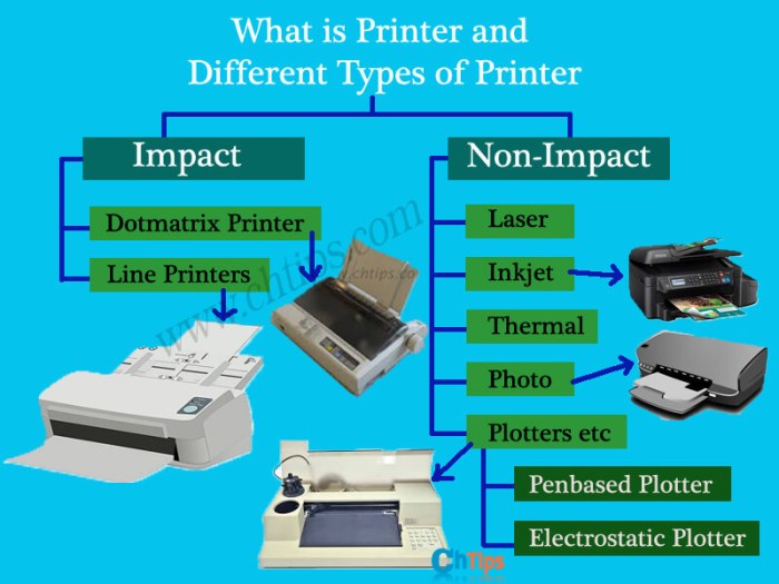 Monitors printers status lights are all examples of devices